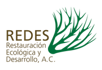 REDES A.C.