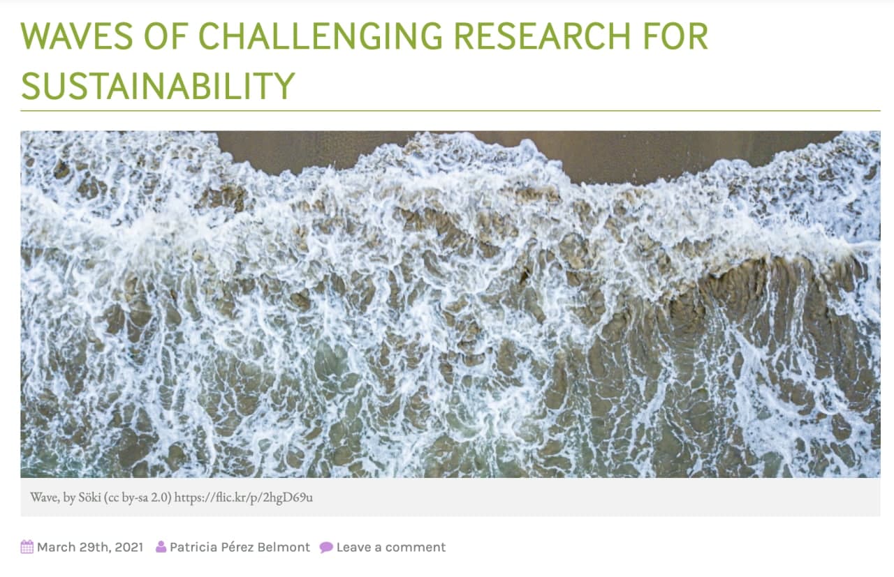 Waves of challenging research for sustainability
